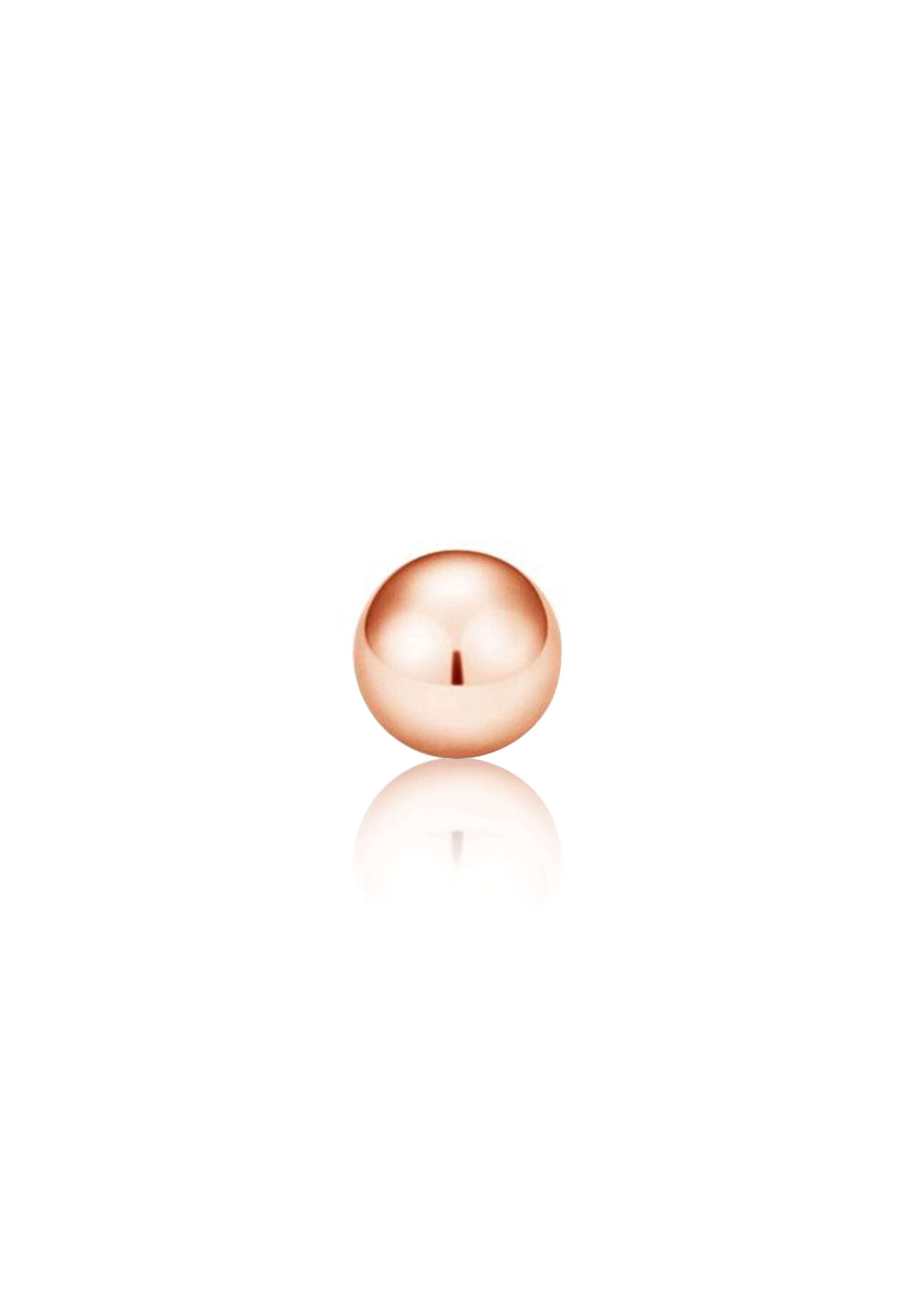 Solid Gold Ball Studded Earrings - Fenom & Co.
