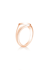 Solid Gold Signet Ring - Fenom & Co.